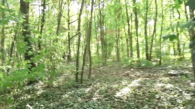 Белокожую рыжеволосую французскую шлюху проебали в два смычка